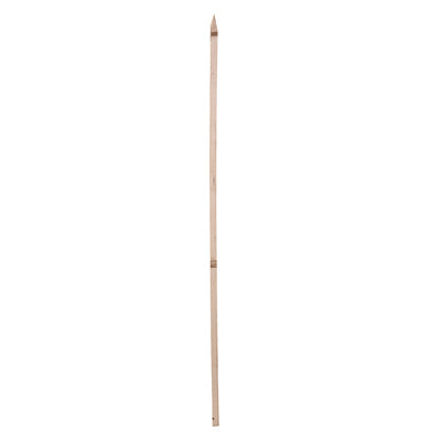 Wood Garden Stake, 5-Ft.