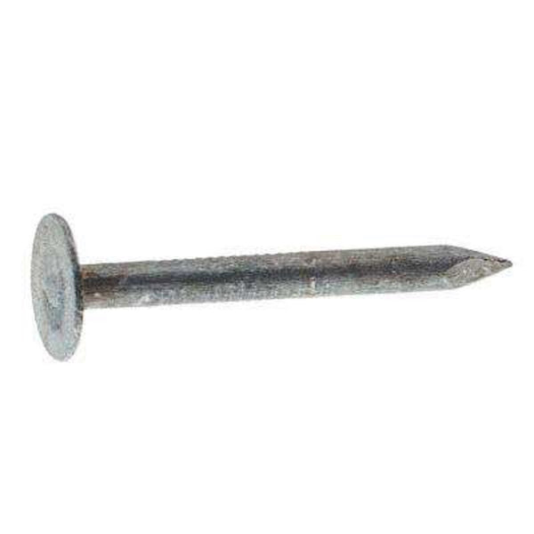 National Nail 2 in. Roofing Electro-Galvanized Steel Nail Flat 30 lb.