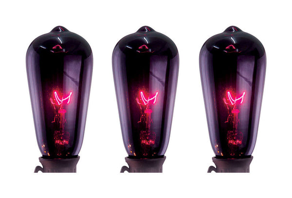Sienna Purple Light Set