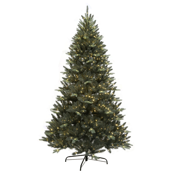 TREE BIGSEED WW7.5'850CT