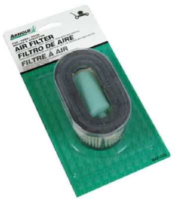 Filtro de aire para cortadora de césped Briggs & Stratton con prelimpiador