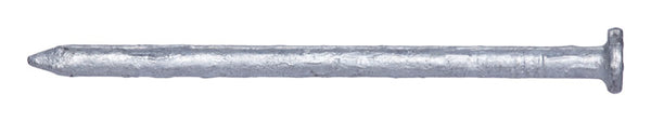 Pro-Fit 12D 3-1/4 in. Common Hot-Dipped Galvanized Steel Nail Flat 50 lb.