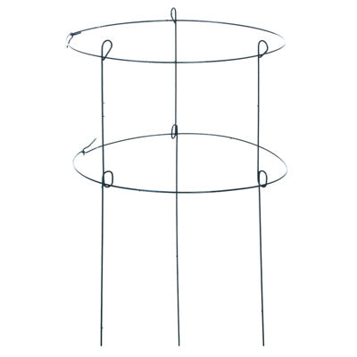 Soporte para planta de peonía, doble, anillo verde, 18 x 36 pulgadas.