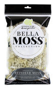 Syndicate Sales Inc 1406-12-1082 80 Cubic Inch Natural Spongy Reindeer Moss
