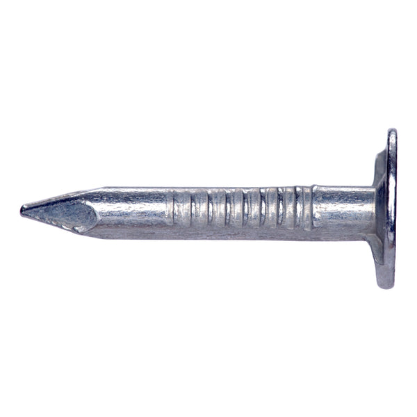 Pro-Fit 2 in. Roofing Electro-Galvanized Steel Nail Flat 50 lb.