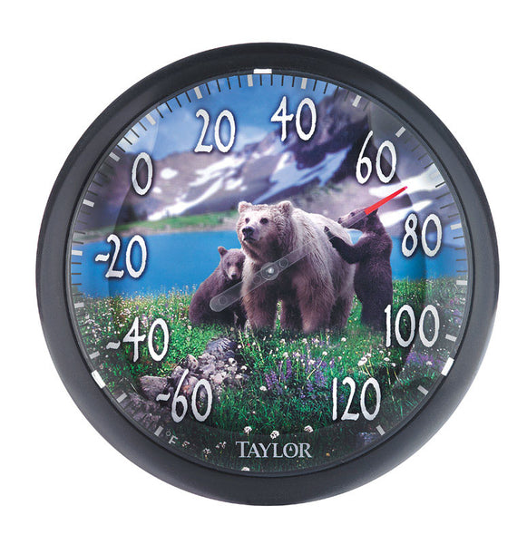 Termómetro con esfera de plástico multicolor con diseño de oso Taylor