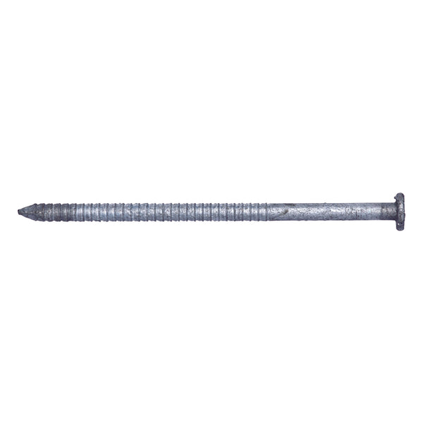 Pro-Fit 16D 3-1/2 in. Lumber Hot-Dipped Galvanized Steel Nail Flat Head 50 lb