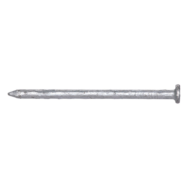 Pro-Fit 16D 3-1/2 in. Common Hot-Dipped Galvanized Steel Nail Flat Head 50 lb