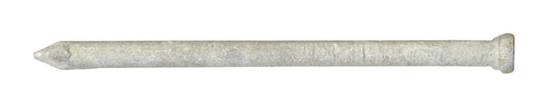 Pro-Fit 16D 3-1/2 in. Finishing Hot-Dipped Galvanized Steel Nail Brad Head 50 lb