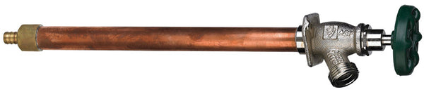 Frost Free Pex 12" Lf
