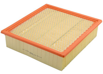 Filtro de aire de protección adicional CA10262