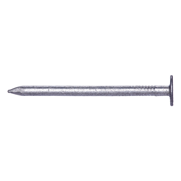 Pro-Fit 2 in. Roofing Hot-Dipped Galvanized Steel Nail Flat 50 lb.