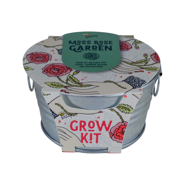 Kit de cultivo de rosas musgosas suculentas Buzzy, paquete de 1 (paquete de 12)