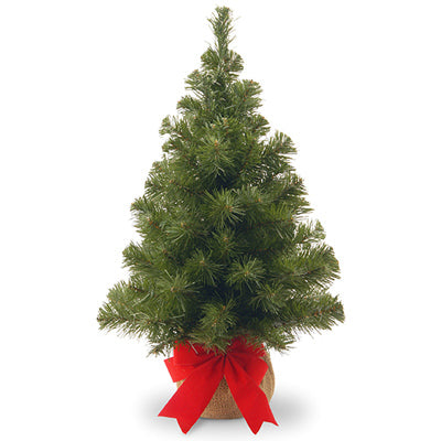 Artificial Pre-Lit Christmas Tree, Noble Fir, 15 Warm White LED Lights, 16-In. x 2-Ft