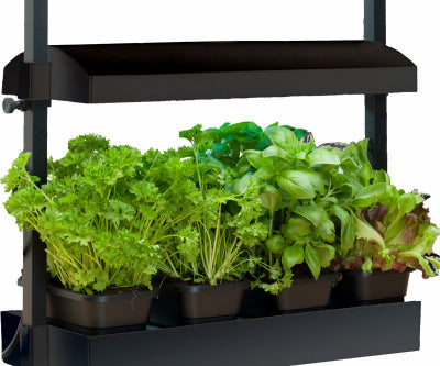 Lámpara de cultivo micro para jardín, espectro completo, color negro