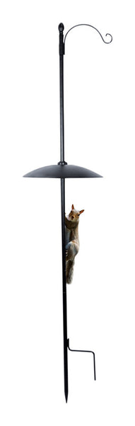The Effortless Birdfeeder Squirrel Baffle Birdfeeder Pole