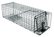 Kness 157-0-006 Forest Green Kage-All Showcase 3 Traps