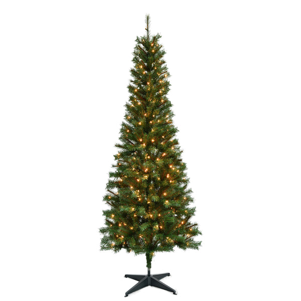 TREE PEN SPRC CLR7'250CT