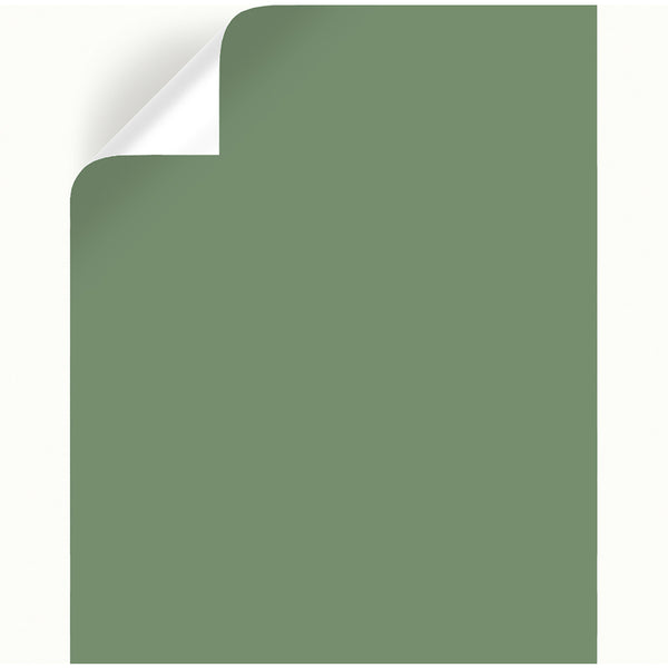 Magnolia Home by Joanna Gaines Magnolia Green Peel & Stick Color Sample (Pack of 25)