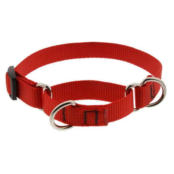 Collar para perros de nailon rojo sólido básico de Lupine Pet