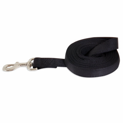 Correa para perro, negra, nailon de 2 capas, 6 pies.