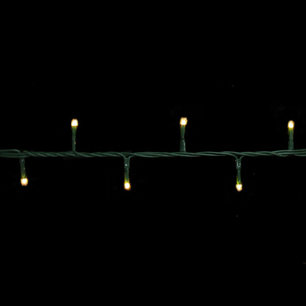 LED CMP WW 6FC16.5'100CT