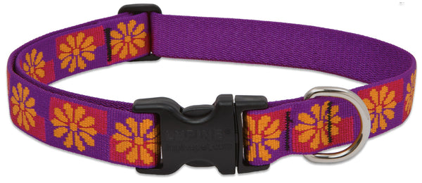 Lupine Collars & Leads 78553 1" X 16-28" Flower Box Collar