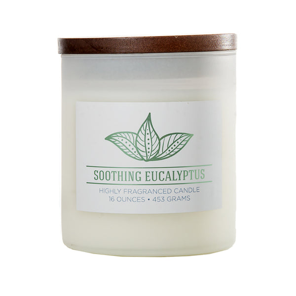 Colonial Candle White Eucalyptus Scent Jar Candle 4.25 in. H X 3.75 in. D 16 oz (Pack of 4)