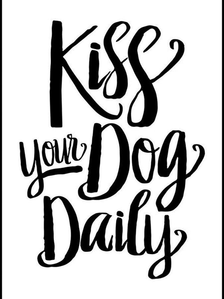 Open Road Brands Kiss Your Dog Daily Magnet Tin 1 pk (Pack of 4)