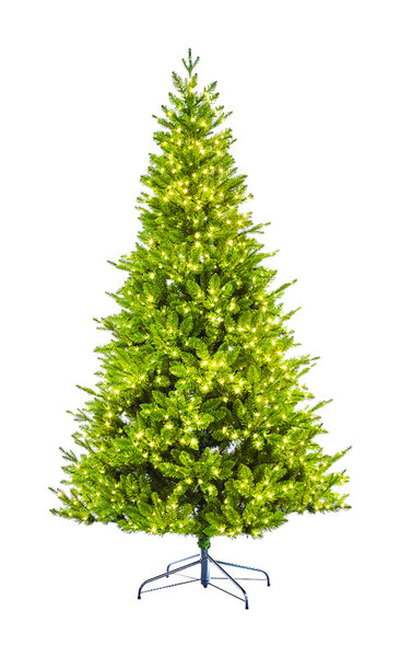 FIR TREE WARM WHITE 7'H