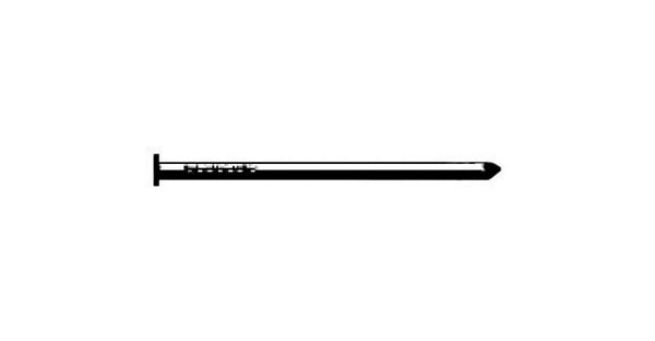 Stallion No. 8 2-1/2 in. Common Hot-Dipped Galvanized Steel Nail Flat Head 1 lb