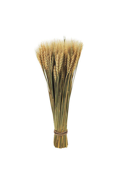 Celebrations Wheat Fall Decoration 14 in. H x 4.72 in. W 1 pk (Pack of 4)