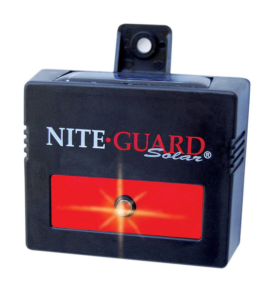 NITE GUARD SOLAR