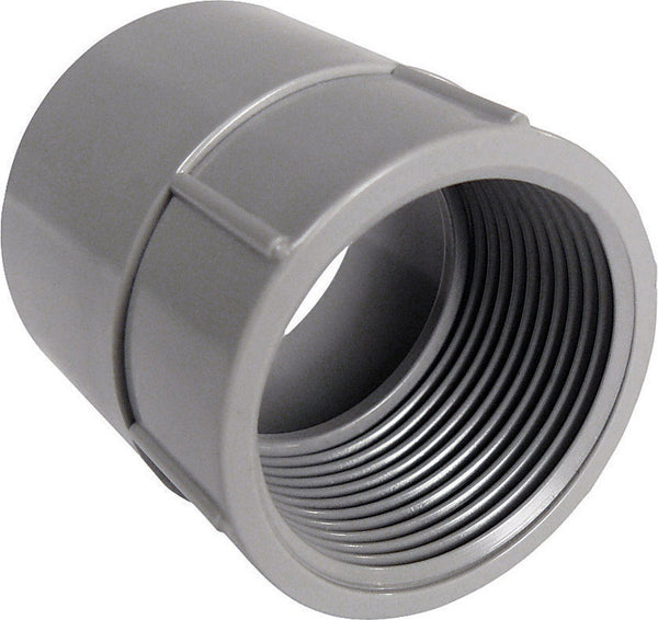 Adaptador hembra para PVC de 1/2 pulg. de diámetro de Cantex, paquete de 1