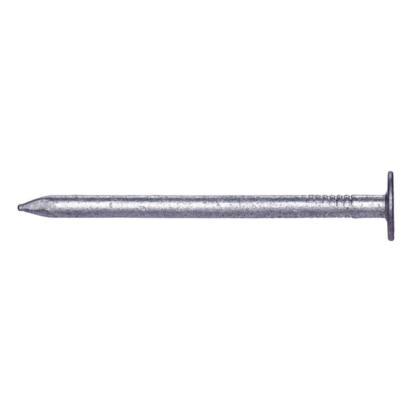 Pro-Fit 1 in. Roofing Hot-Dipped Galvanized Steel Nail Flat 50 lb.