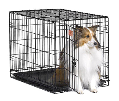 PE 36" SGL DR Dog Crate