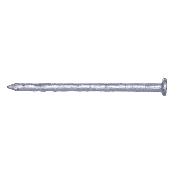 Pro-Fit 4D 1-1/2 in. Common Hot-Dipped Galvanized Steel Nail Flat 50 lb.