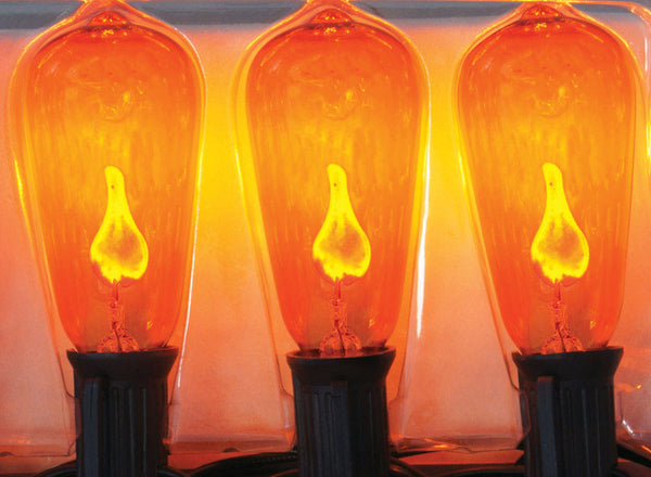 LIGHT SET EDISON ORG 10'