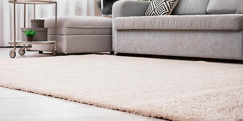 The Best Carpet Cleaning Solutions for Your Home