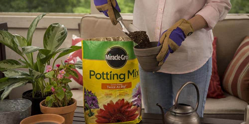 The Best of Miracle-Gro World