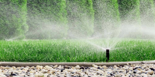 Choose the Right Type of Sprinkler For Your Garden