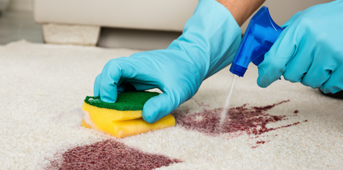 Keep your Carpet clean with Folex Carpet Cleaner