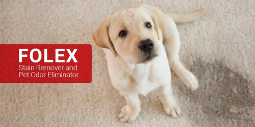 Make Peace With Pet Messes: Tackling Stains and Odors With the Power of Folex