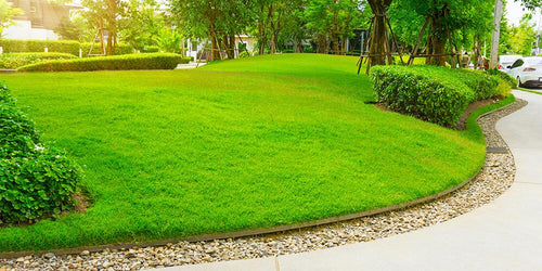 10 Best Landscape Edging Ideas and Tips