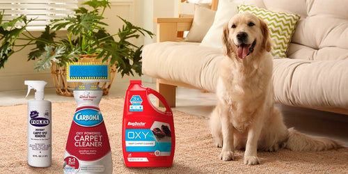 Discover cleaning products that are safe for pets
