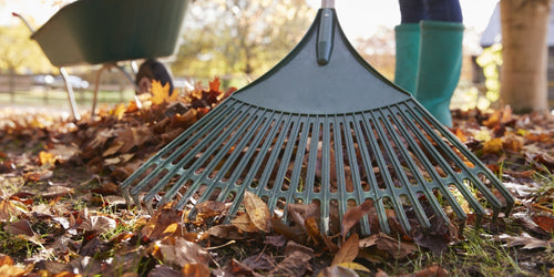 Different types of rakes for every gardening task