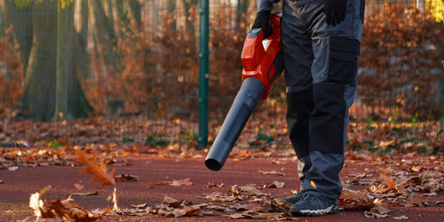 What you need to know before choosing the best leaf blower