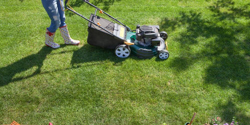The Important Planning Stages for a Great Spring Lawn