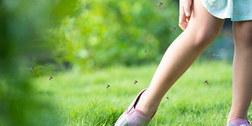 Find the Best Mosquito Repellent for Summer 2021