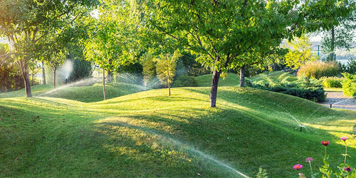 What Garden Irrigation System Should I Use For My Garden?